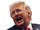 trump-donald-cri-crie-aaah-president-usa-fache-vener-nrv-enerve-hurle-pas-content-knifos