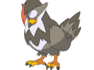 etouraptor-staraptor-mukuhawk-pokemon-pkm-jeu-anime-type-normal-vol-4g-sinnoh-rapace