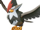 etouraptor-staraptor-mukuhawk-pokemon-pkm-jeu-anime-type-normal-vol-4g-sinnoh-rapace