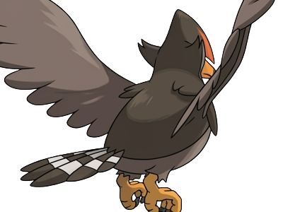 etouraptor staraptor mukuhawk pokemon pkm jeu anime type normal vol 4g sinnoh rapace