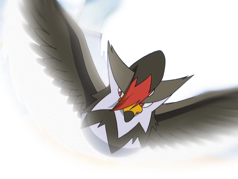 etouraptor staraptor mukuhawk pokemon pkm jeu anime type normal vol 4g sinnoh rapace