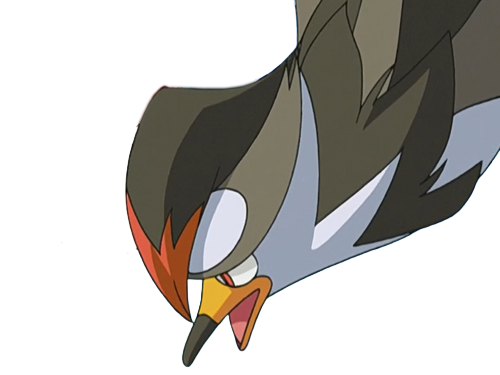 etouraptor staraptor mukuhawk pokemon pkm jeu anime type normal vol 4g sinnoh rapace