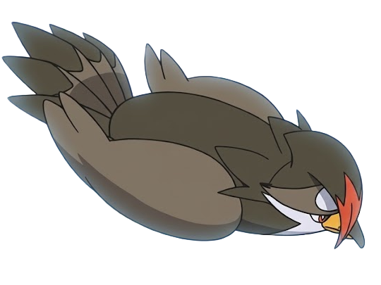 etouraptor staraptor mukuhawk pokemon pkm jeu anime type normal vol 4g sinnoh rapace