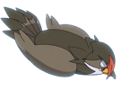 etouraptor-staraptor-mukuhawk-pokemon-pkm-jeu-anime-type-normal-vol-4g-sinnoh-rapace