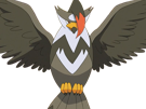 etouraptor-staraptor-mukuhawk-pokemon-pkm-jeu-anime-type-normal-vol-4g-sinnoh-rapace