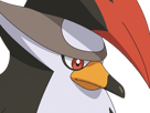 etouraptor-staraptor-mukuhawk-pokemon-pkm-jeu-anime-type-normal-vol-4g-sinnoh-rapace