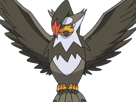 etouraptor-staraptor-mukuhawk-pokemon-pkm-jeu-anime-type-normal-vol-4g-sinnoh-rapace