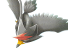 etouraptor-staraptor-mukuhawk-pokemon-pkm-jeu-anime-type-normal-vol-4g-sinnoh-rapace