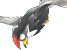 etouraptor-staraptor-mukuhawk-pokemon-pkm-jeu-anime-type-normal-vol-4g-sinnoh-rapace