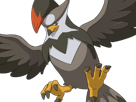 etouraptor-staraptor-mukuhawk-pokemon-pkm-jeu-anime-type-normal-vol-4g-sinnoh-rapace