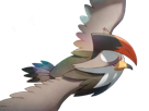 etouraptor-staraptor-mukuhawk-pokemon-pkm-jeu-anime-type-normal-vol-4g-sinnoh-rapace