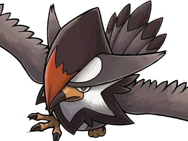 etouraptor staraptor mukuhawk pokemon pkm jeu anime type normal vol 4g sinnoh rapace