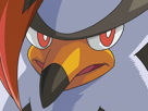 etouraptor-staraptor-mukuhawk-pokemon-pkm-jeu-anime-type-normal-vol-4g-sinnoh-rapace