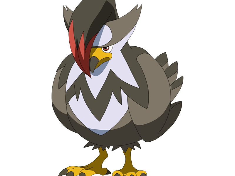 etouraptor staraptor mukuhawk pokemon pkm jeu anime type normal vol 4g sinnoh rapace