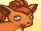 goupix vulpix rukon pokemon pkm jeu anime type feu kanto 1g renard kyubi