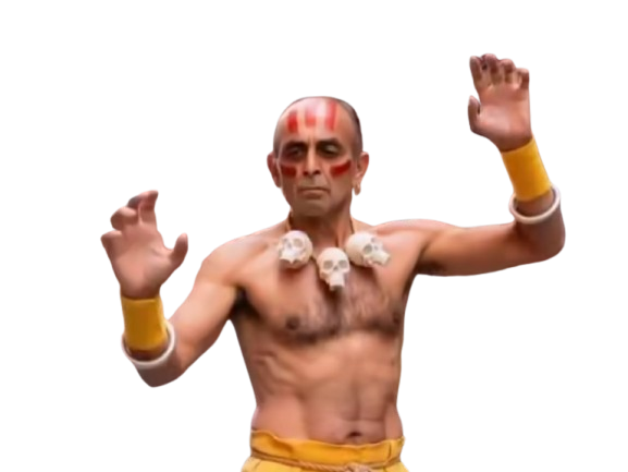 Sticker street fighter zemmour eric dahlsim par ToocoCla