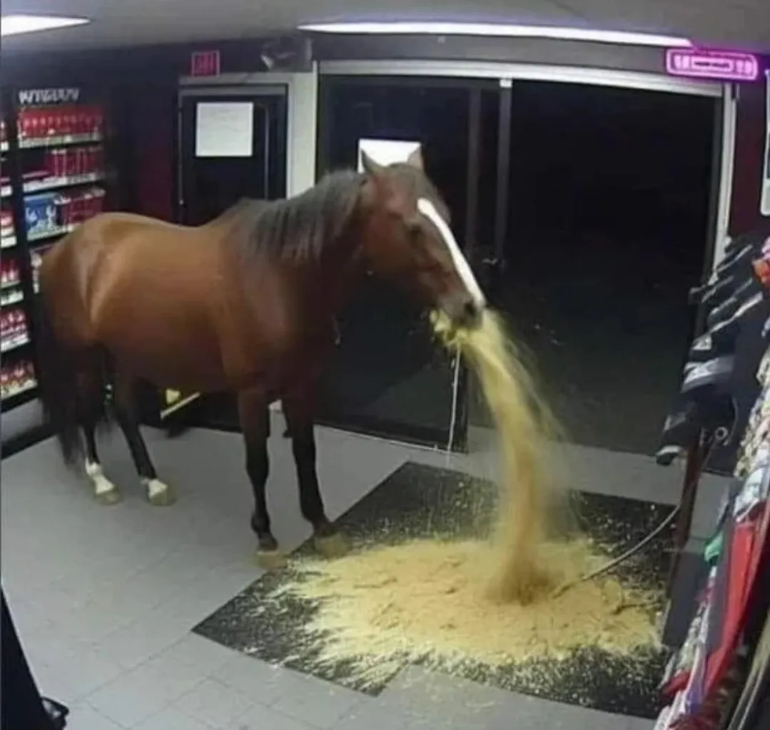 Sticker cheval horse vomi throw up magasin supermarche superette cursed par TurboRandomPost