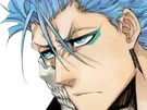 grimmjow jaegerjacquez bleach cheveux yeux bleu arrancar grimm jager masque fic bloop