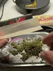 cig cana puff ocb ganja beuh def drug meth blunt herb cbd tabac bong thc