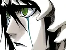 ulquiorra cifer bleach cheveux noir yeux vert arrancar masque fic bloop