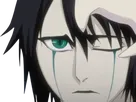 ulquiorra cifer bleach cheveux noir yeux vert arrancar masque fic bloop
