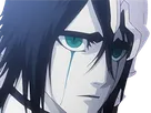 ulquiorra cifer bleach cheveux noir yeux vert arrancar masque fic bloop