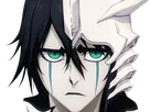 ulquiorra cifer bleach cheveux noir yeux vert arrancar masque fic bloop