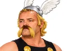 celestin asterix