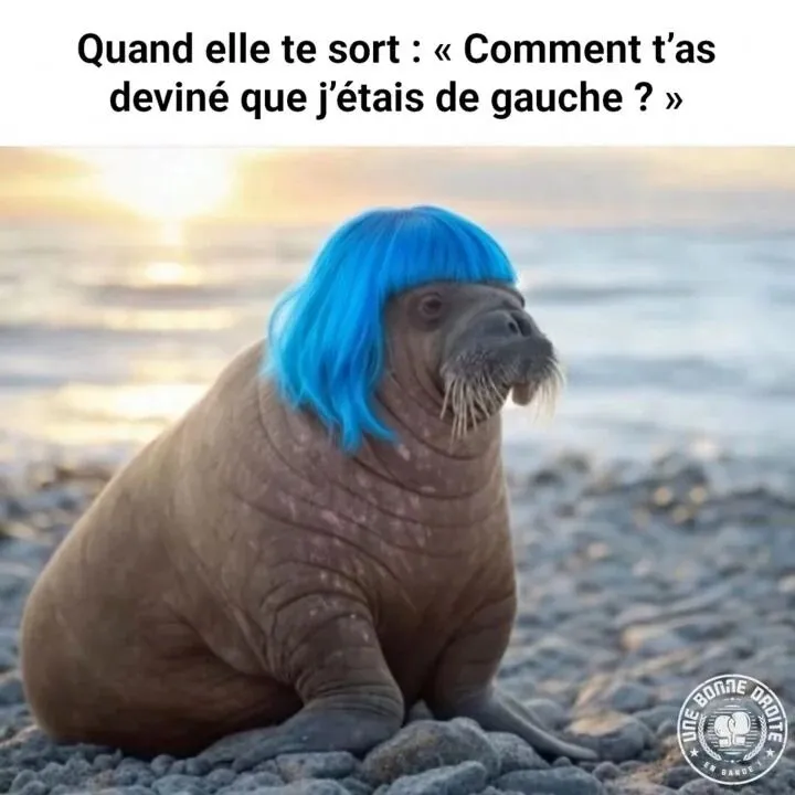 Sticker gauche elephant de mer bleu devine vache phoque progres gauchiste asile zinzin lfi cheveux perruque par ProlapsusDeBHL