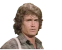 charles ingalls landon sad