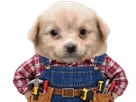 chien patron bricoleur