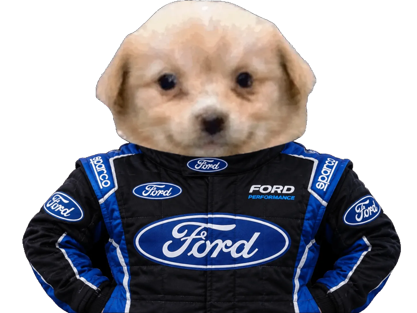 Sticker chien patron pilote ford par tropFRUCTUEux