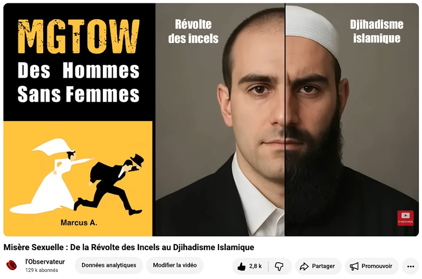 Sticker beta omega bluepill pills vagina needy celes mascu orbit mangina corentin misere victim mgtow mtw par glandilus