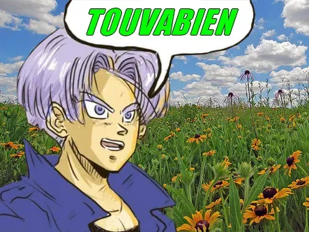 Sticker dbz dragon ball trunks touvabien deishi par Deishi