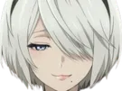 2b nier automata cheveux blanc yeux bleu opale de brienne fic bloop