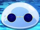sperm2kj slime limule lunette