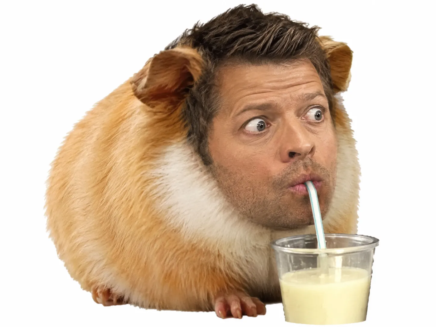 Sticker supernatural castiel cochon hamster lait frimousse adorable mignon dinde brup boire jure wtf grosyeux yeux par XDREAD