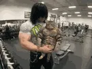 whey gainer gain bcaa prot body lafay squat lever seance salle gato katz meow miaou