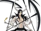 nnoitra gilga bleach cheveux noir masque trou arrancar fic bloop resurrection