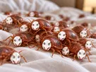 punaise lit invasion jeff the killer baise creepypasta