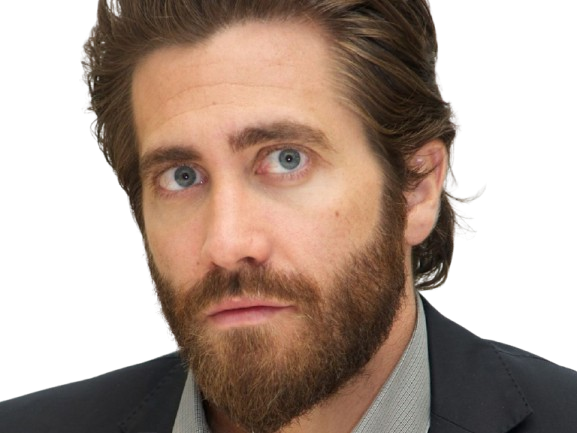 Sticker jake gyllenhaal acteur barbe homme brun trentaine trentenaire yeux bleus par PubliusOvidius