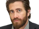 jake gyllenhaal acteur barbe homme brun trentaine trentenaire yeux bleus