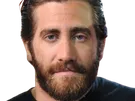 jake gyllenhaal acteur barbe homme brun trentaine trentenaire yeux bleus