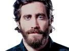 jake gyllenhaal acteur barbe homme brun trentaine trentenaire yeux bleus