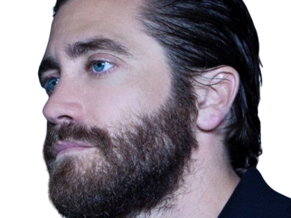 Sticker jake gyllenhaal acteur barbe homme brun trentaine trentenaire yeux bleus par PubliusOvidius