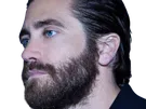 jake gyllenhaal acteur barbe homme brun trentaine trentenaire yeux bleus