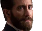jake gyllenhaal acteur barbe homme brun trentaine trentenaire yeux bleus