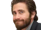 jake gyllenhaal acteur barbe homme brun trentaine trentenaire yeux bleus