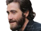 jake gyllenhaal acteur barbe homme brun trentaine trentenaire yeux bleus