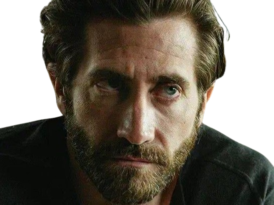 Sticker jake gyllenhaal acteur barbe homme brun trentaine trentenaire yeux bleus par PubliusOvidius